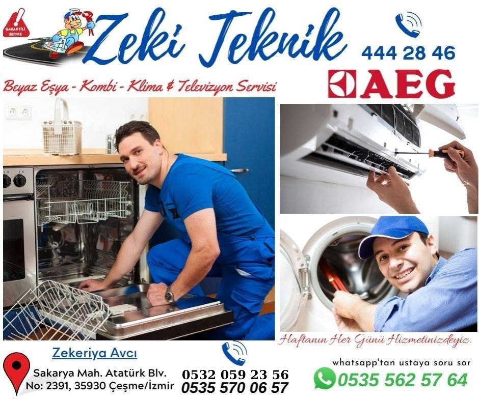 Çeşme Aeg Servisi